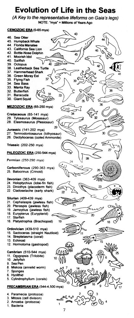 Evolution-of-Life-in-the-Seas-431x1024-1 The Millennial Gaia