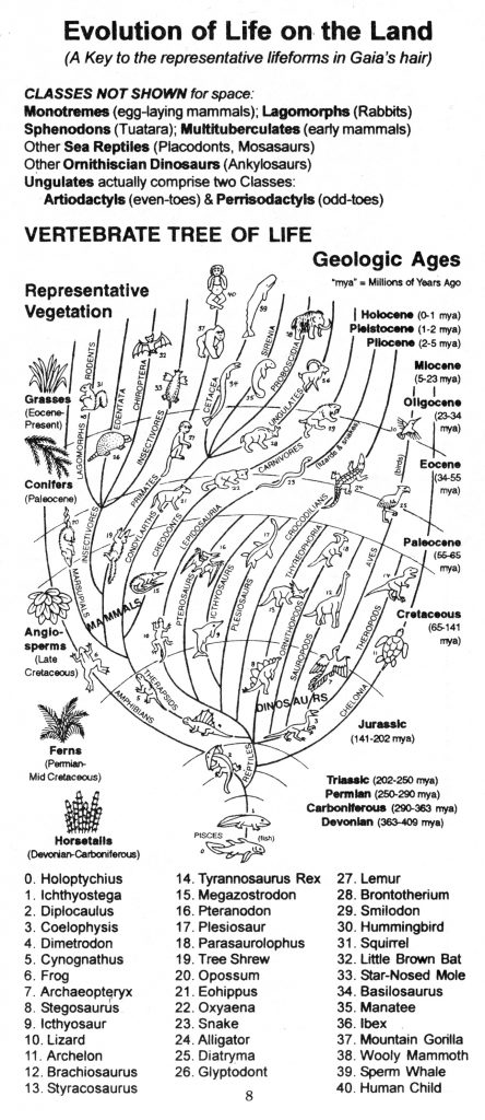 Evolution-of-Life-on-Land-444x1024-1 The Millennial Gaia