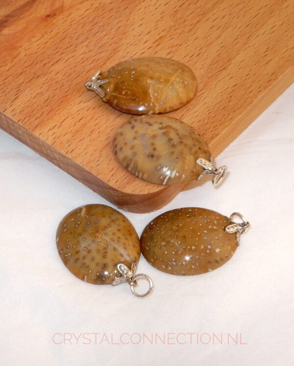 Koraal-hanger-cabochon Fossielkoraal cabochon hanger