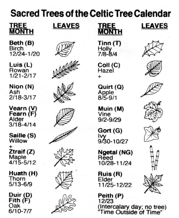 Sacred-Trees-of-Celtic-Tree-Calendar-842x1024-1 The Millennial Gaia