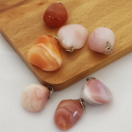 abrikoosagaat Abrikoosagaat voor dieren