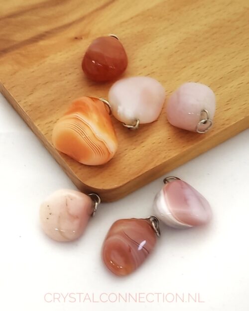 Abrikoosagaat hanger