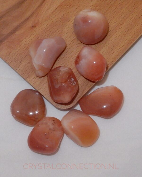 abrikoosagaat-trommelsteen-scaled Abrikoosagaat voor dieren