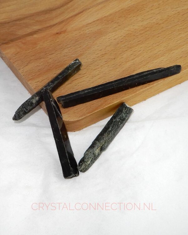 aegirien-ruw-groot Aegirien ruw