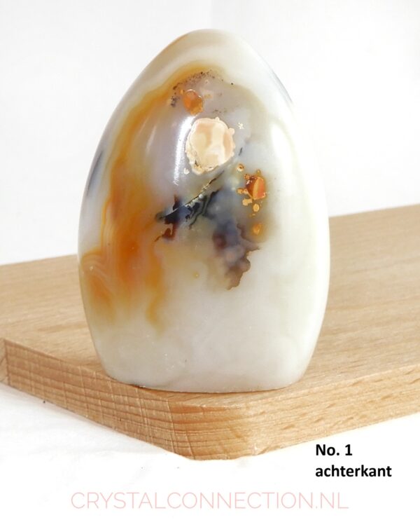 agaat-dendriet-vrije-vorm-no1-achterkant Agaat dendrieten vrije vorm