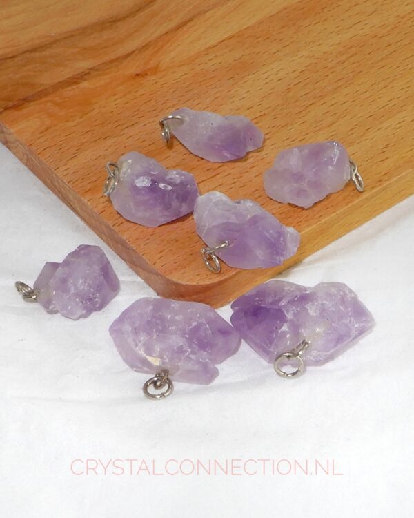 amethist-dubbeleinder-hanger Amethist hanger