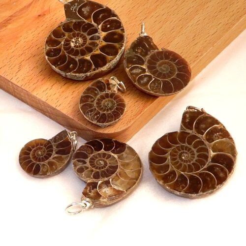 ammoniet-hanger-1kant-gepolijst-1 Ammoniet hanger