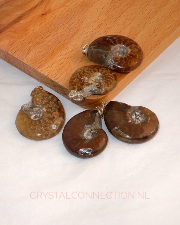 ammoniet-hanger-gepolijst Ammoniet hanger