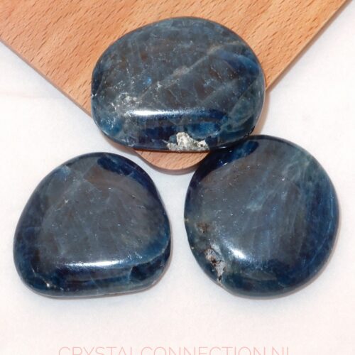 apatiet-schijfsteen-scaled Apatiet schijfsteen