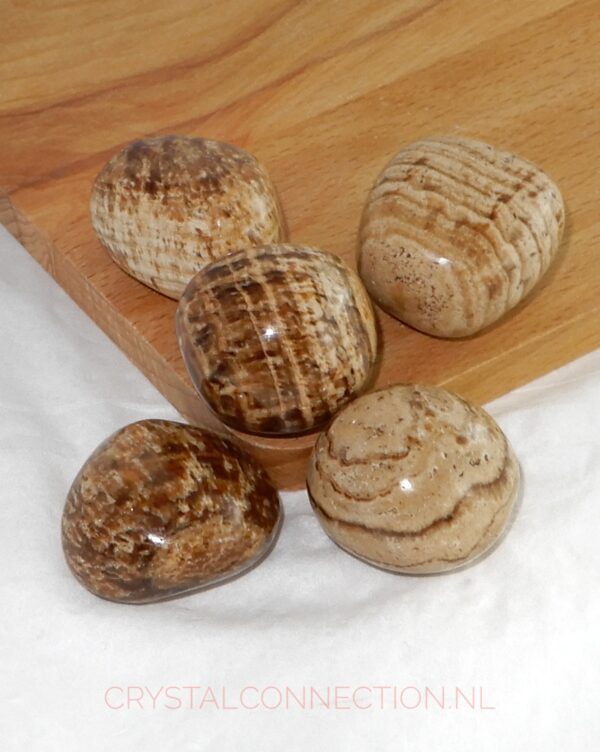 aragoniet-trommelsteen-bruin-middel Aragoniet schijfsteen