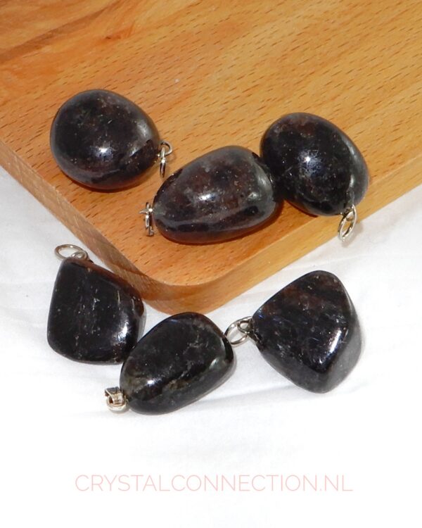 astrophylliet-hanger-groot Astrophylliet hanger