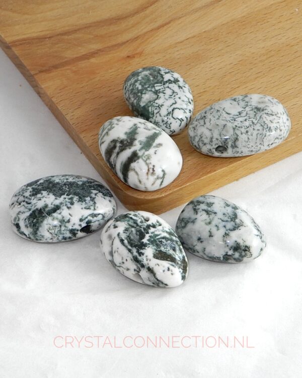 Boomagaat doorboorde hanger