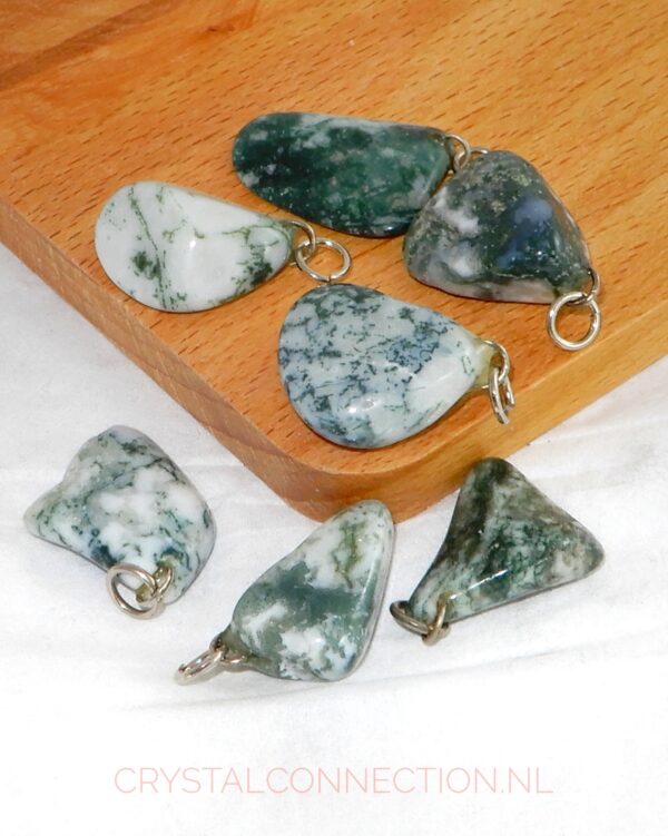 Boomagaat doorboorde hanger