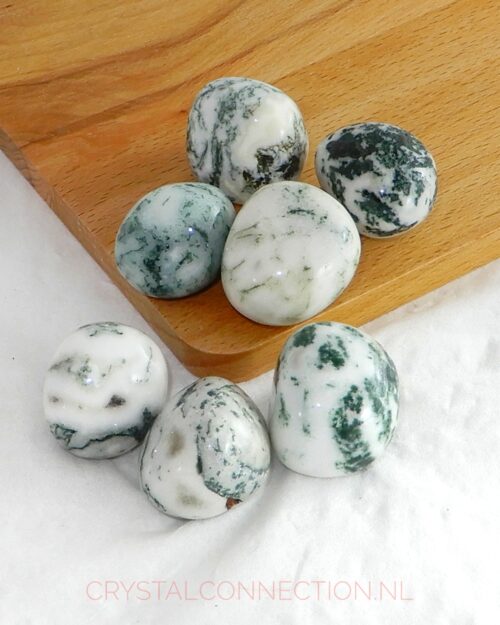 Boomagaat trommelsteen