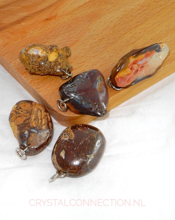 Boomagaat doorboorde hanger