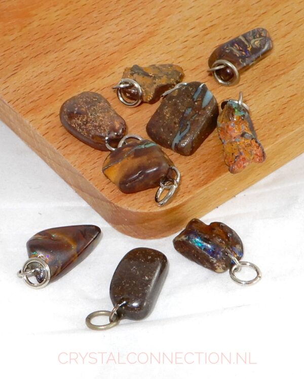 Boomagaat doorboorde hanger