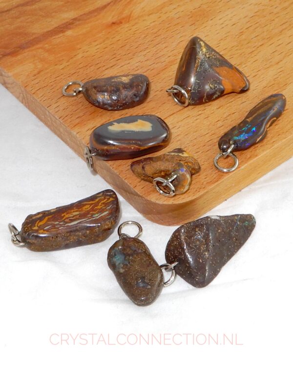 Boomagaat doorboorde hanger