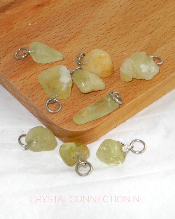 Boomagaat doorboorde hanger