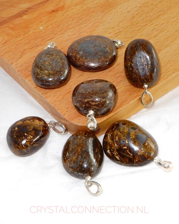 Boomagaat doorboorde hanger