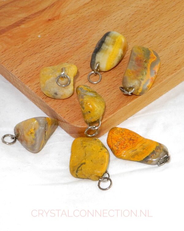 Boomagaat doorboorde hanger