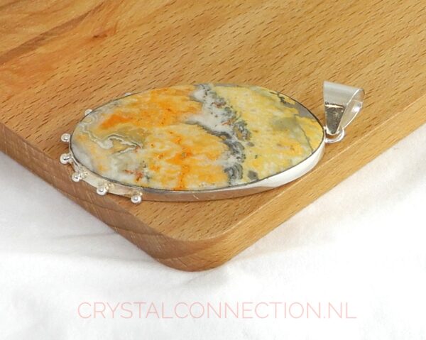 bumblebee-jaspis-hanger-zilver-no1-zij1 Bumblebee jaspis zilveren hanger