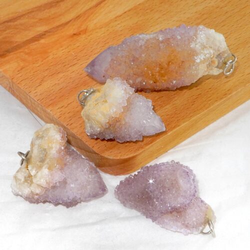 cactuskwarts-hanger-groot Cactuskwarts hanger