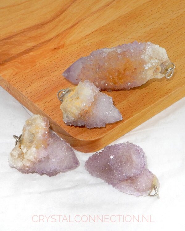 Boomagaat doorboorde hanger