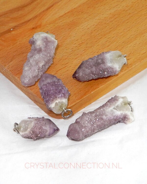 Boomagaat doorboorde hanger