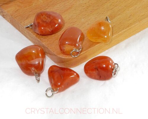 Carneool voor dieren