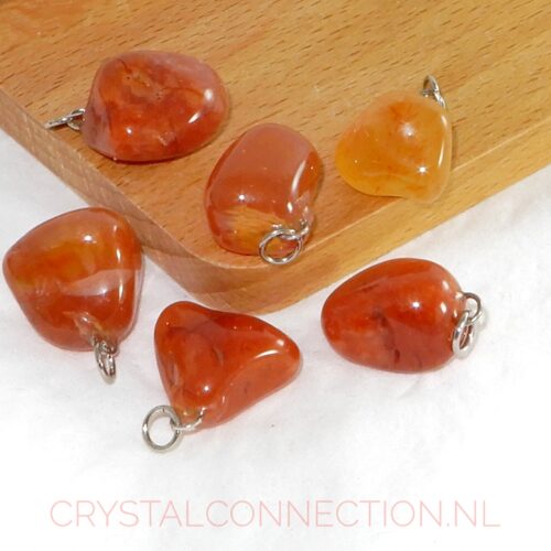 carneool-hanger-1 Carneool voor dieren