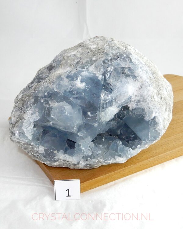 celestien-ruw-no1 Celestien ruw