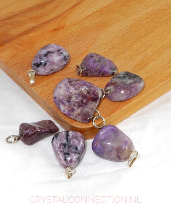 charoiet-hanger Charoiet hanger