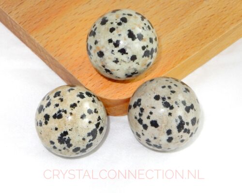 Dalmatier jaspis bol