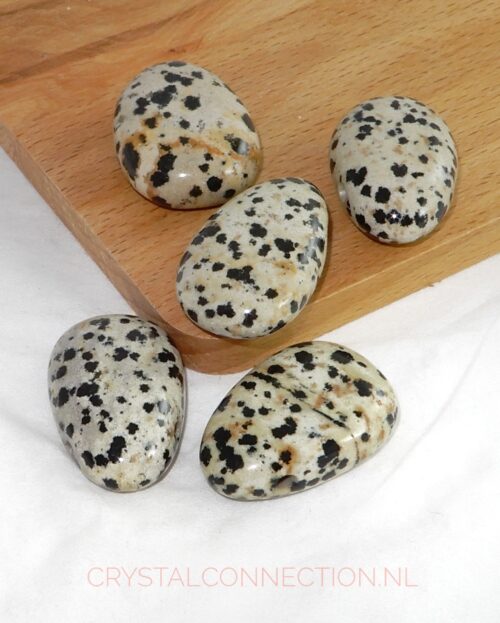 Dalmatier jaspis doorboorde hanger