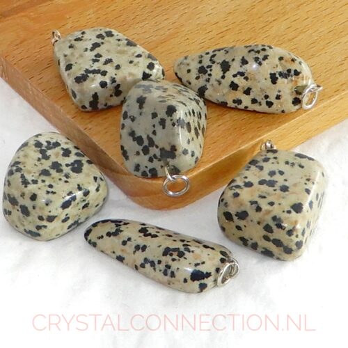 dalmatier-jaspis-hanger-groot Dalmatier jaspis hanger