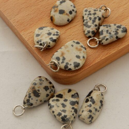 dalmatier-jaspis-hanger-klein-scaled Dalmatierjaspis voor dieren