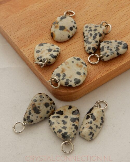 Dalmatierjaspis voor dieren