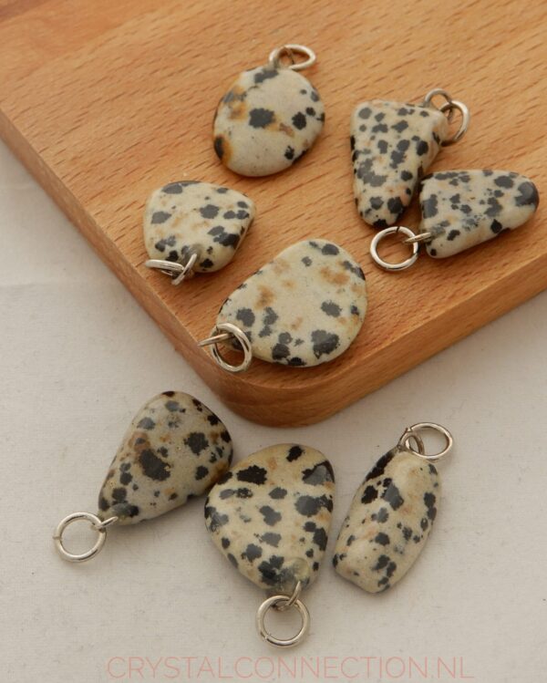 dalmatier-jaspis-hanger-klein-scaled Dalmatierjaspis voor dieren
