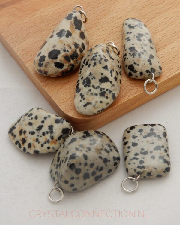 dalmatier-jspis-hnger-groot-scaled Dalmatier jaspis hanger