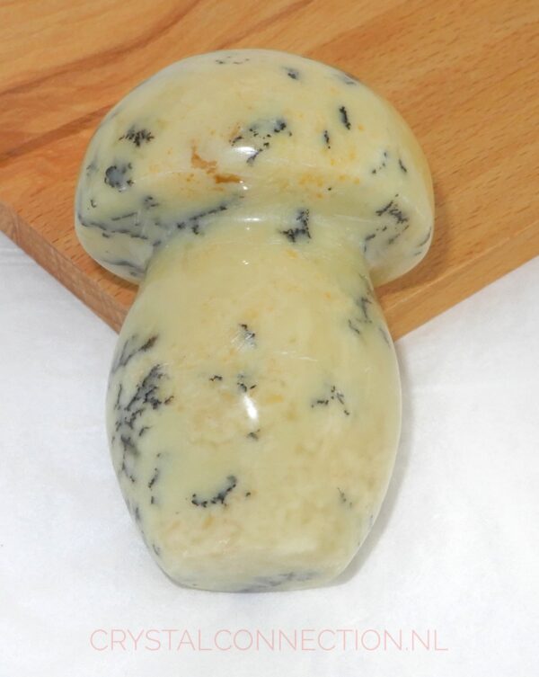 Dendrietenkwarts paddenstoel