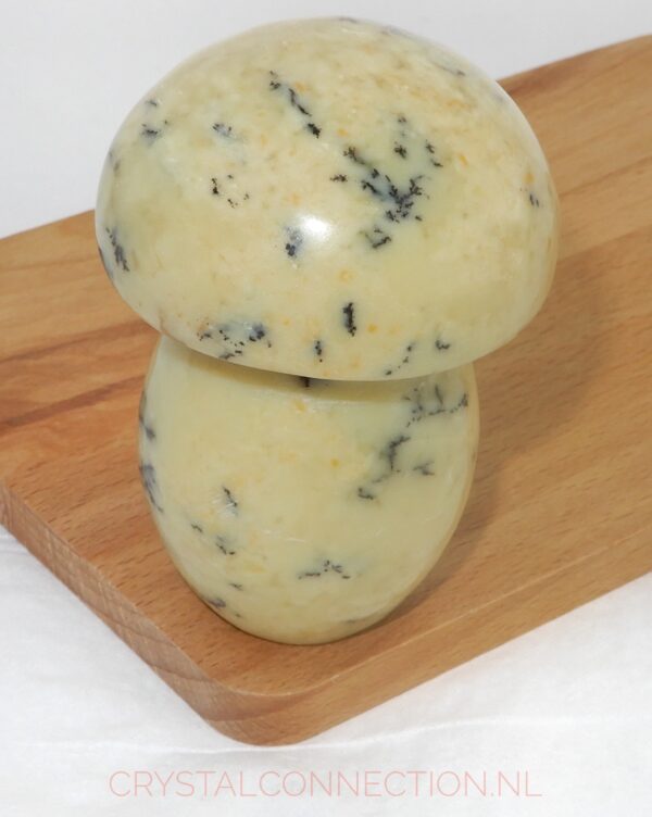 Dendrietenkwarts paddenstoel