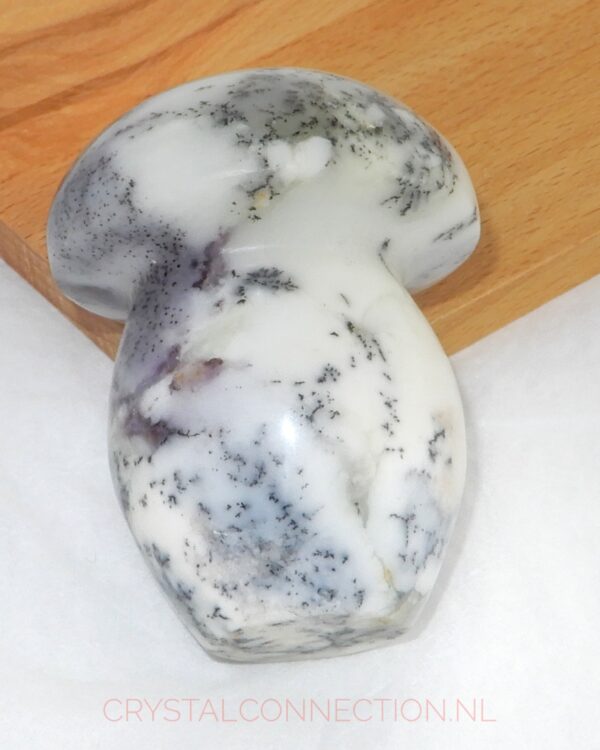 Dendrietenkwarts paddenstoel