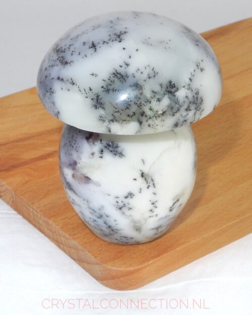 Dendrietenkwarts paddenstoel