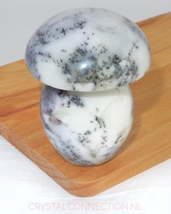 Dendrietenkwarts paddenstoel