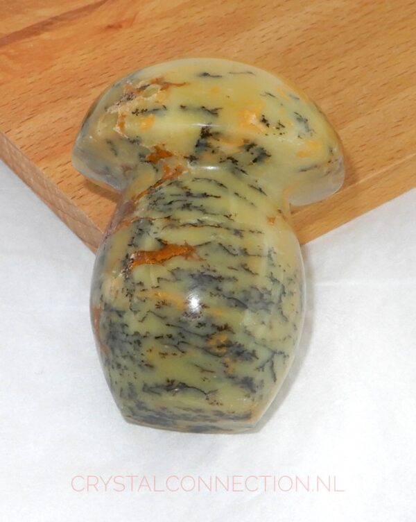 Dendrietenkwarts paddenstoel