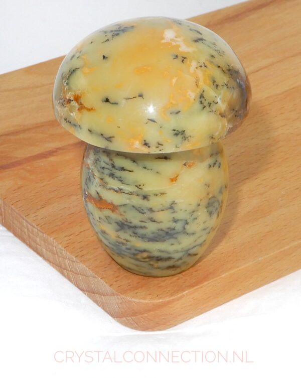 Dendrietenkwarts paddenstoel