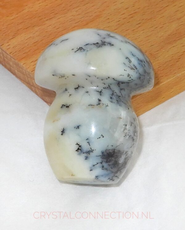 Dendrietenkwarts paddenstoel