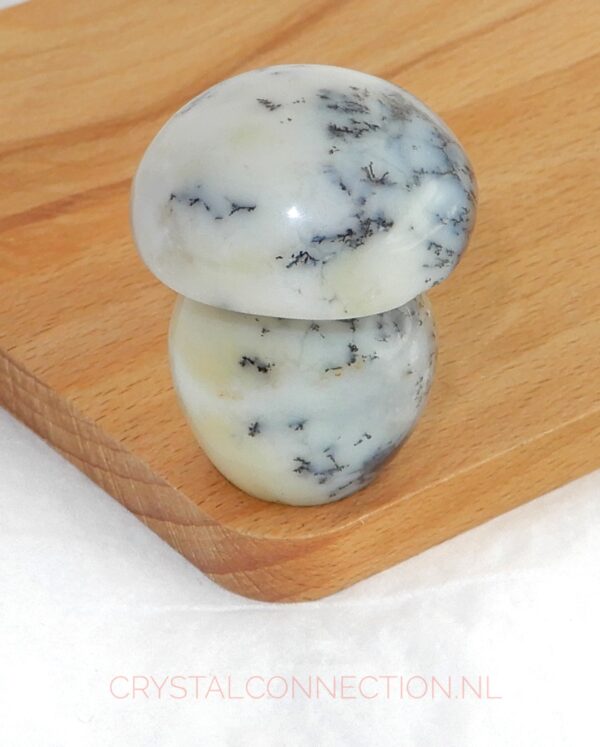 Dendrietenkwarts paddenstoel