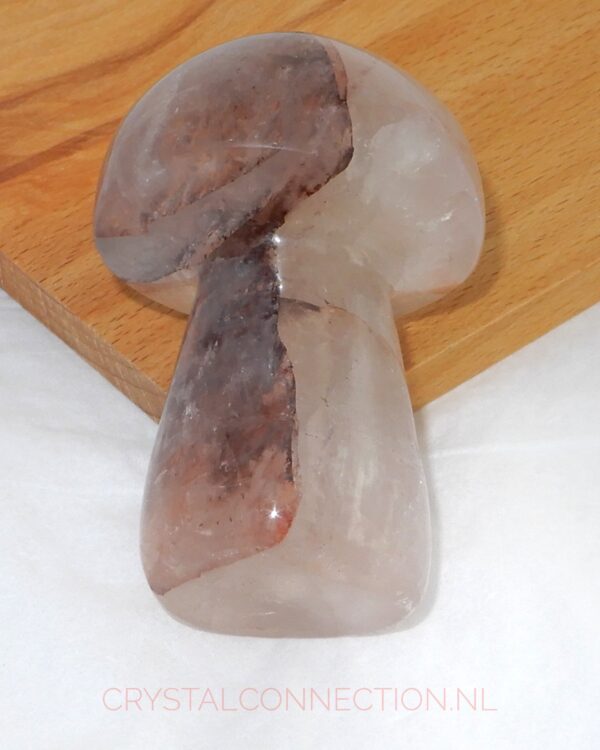 golden-healer-paddenstoel-29.50 Golden Healer paddenstoel