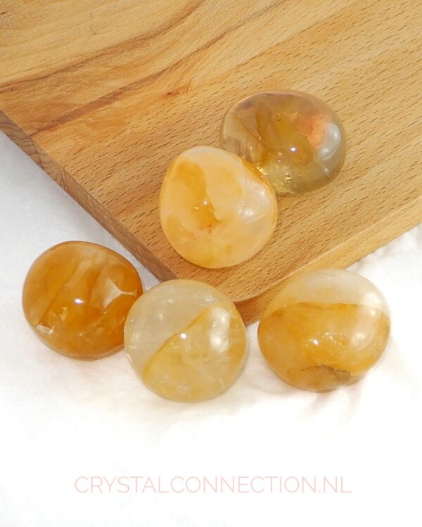 golden-healer-trommelsteen-rond Golden healer trommelsteen